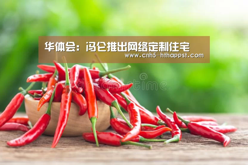 华体会：冯仑推出网络定制住宅