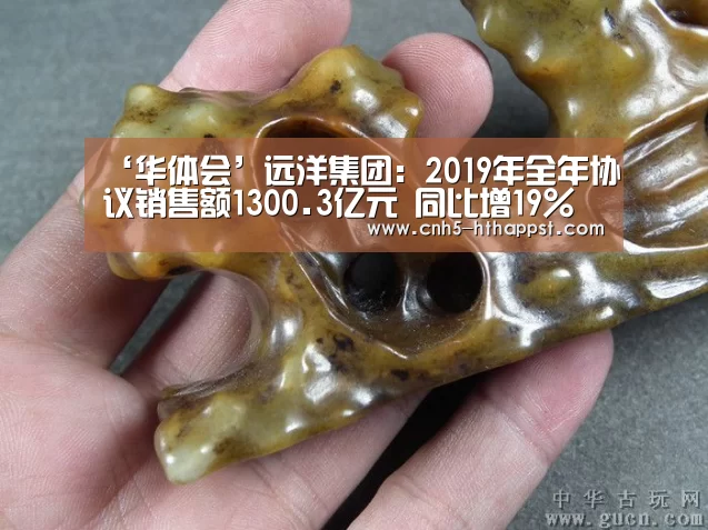 ‘华体会’远洋集团：2019年全年协议销售额1300.3亿元 同比增19%
