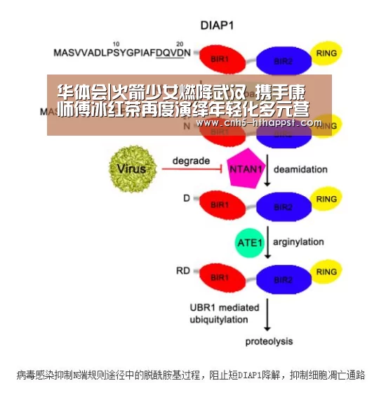 华体会app